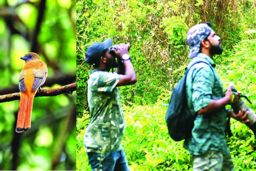 തട്ടേക്കാട് പക്ഷിസങ്കേതത്തിലേക്ക് ദേശാടനപ്പക്ഷികള് എത്തിത്തുടങ്ങി