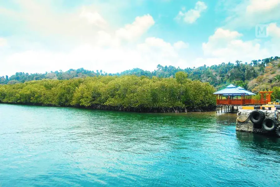 കോഴിക്കോടും തിരൂരും ബോര്‍ഡുവെച്ച ബസുകളില്‍ കയറി ആന്‍ഡമാനിലൂടെ ഒരു യാത്ര