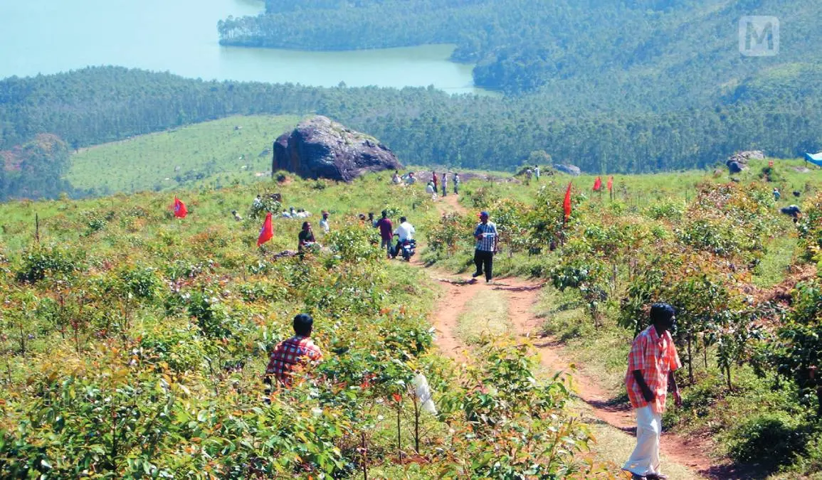 ചിന്നക്കനാൽ | ഫോട്ടോ:മാതൃഭൂമി