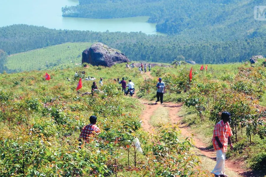 ചിന്നക്കനാലിലെ 364.89 ഹെക്ടർ റവന്യൂഭൂമി ഇനി സംരക്ഷിതവനം