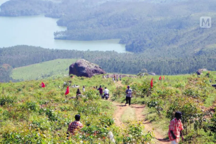 ഇടുക്കി ചിന്നക്കനാല്‍ വില്ലേജിലെ 365 ഹെക്ടര്‍ ഭൂമി റിസര്‍വ് വനമായി പ്രഖ്യാപിച്ചു