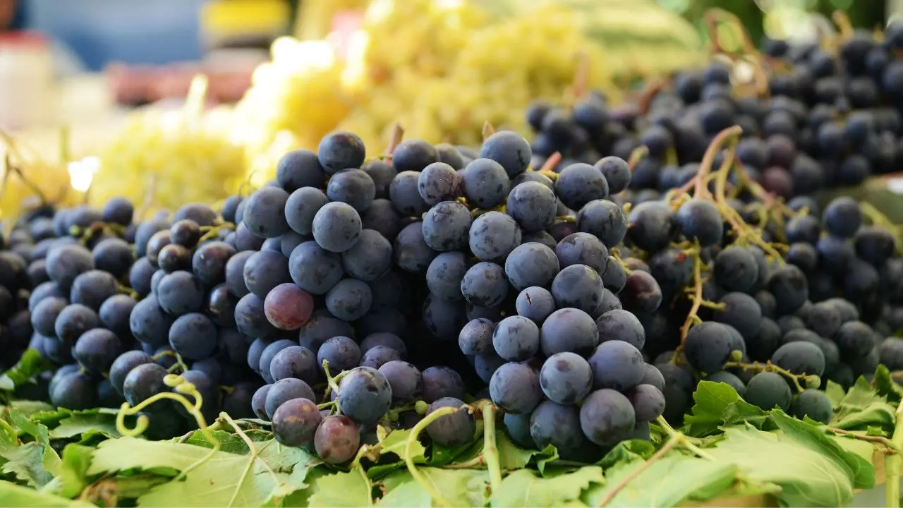 representative image|photo:canva