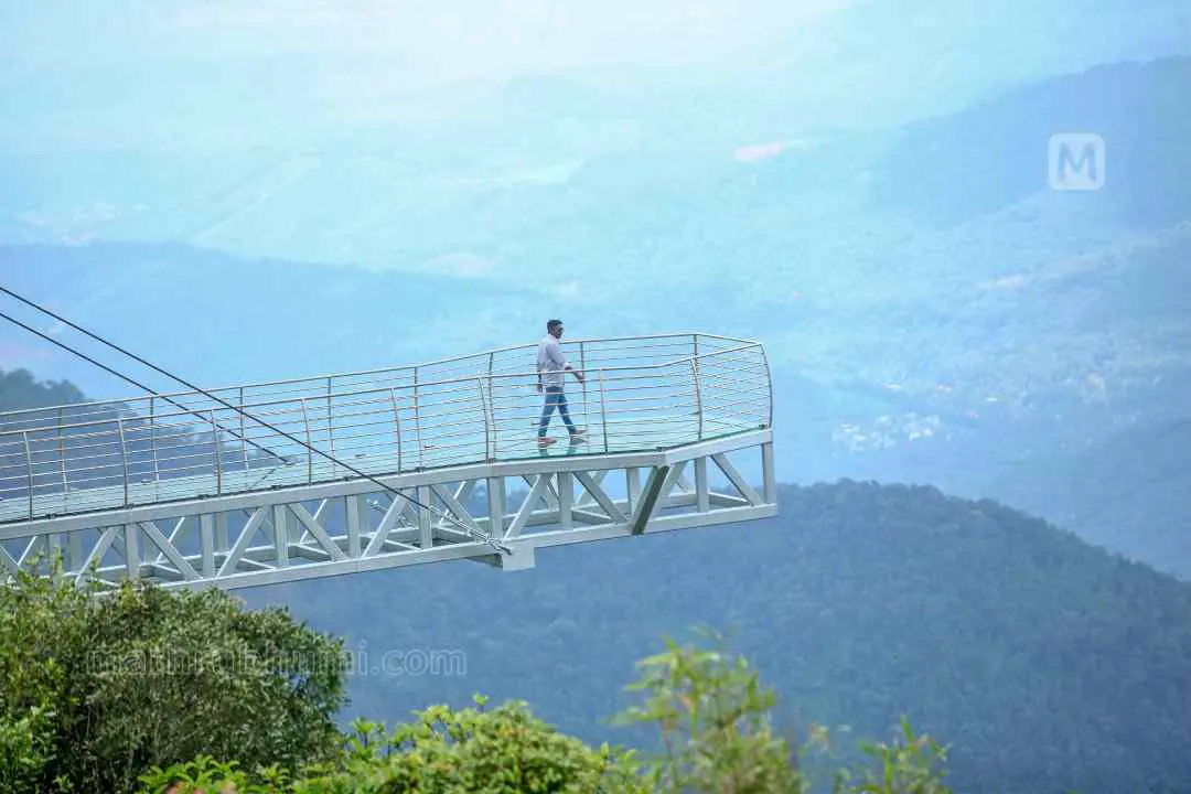 വാഗമണ്‍ ഗ്ലാസ് ബ്രിഡ്ജ് | ഫോട്ടോ: ശ്രീജിത്ത് പി രാജ്