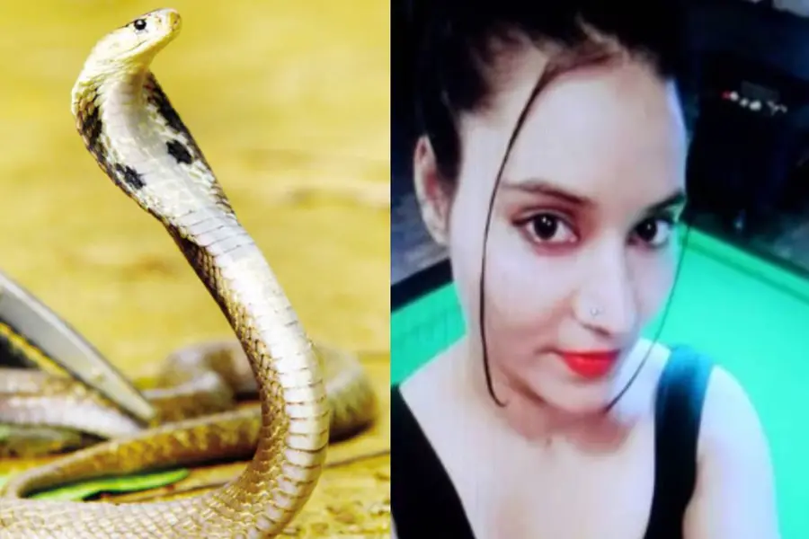 യുവവ്യവസായി പാമ്പ് കടിയേറ്റ് മരിച്ച സംഭവം കൊലപാതകം; പിന്നില് പെണ്സുഹൃത്ത്