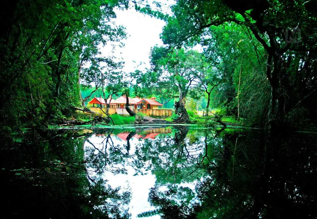 പൊന്കുഴി സീതാദേവി ക്ഷേത്രത്തിനു സമീപമുള്ള സീതാദേവിയുടെ കണ്ണീര് തടാകം| ഫോട്ടോ പി.പി ബിനോജ്