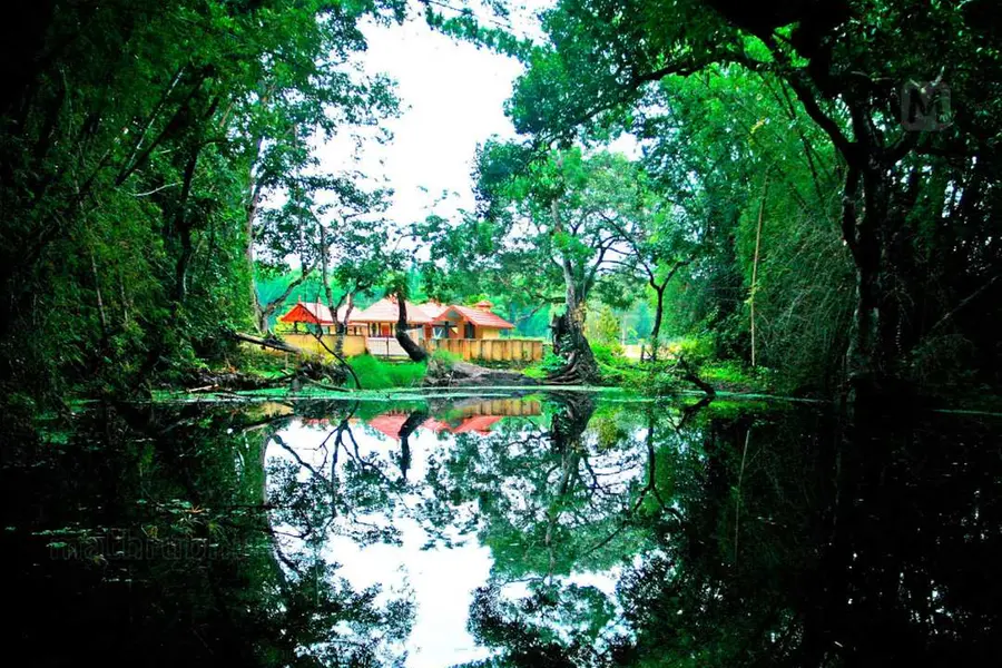 ചുറ്റമ്പലമില്ലാതെ ചേടാറ്റിലമ്മയും മുരിക്കന്മാരും, സീതയുടെ കണ്ണീര്ത്തടാകം; രാമായണത്തിലെ വയനാടൻ മുദ്ര