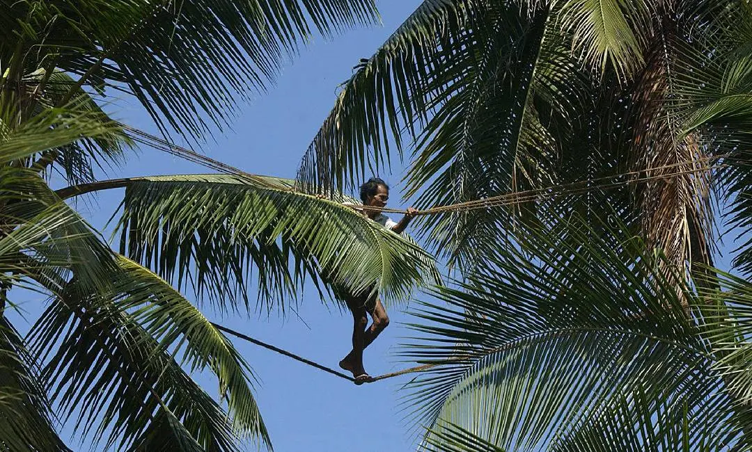പ്രതീകാത്മക ചിത്രം / ഫോട്ടോ: പി.ടി.ഐ