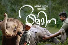 'ആനക്കുട്ടിയല്ല, ആമിന ഞങ്ങൾക്ക് മകളെപ്പോലെ'
