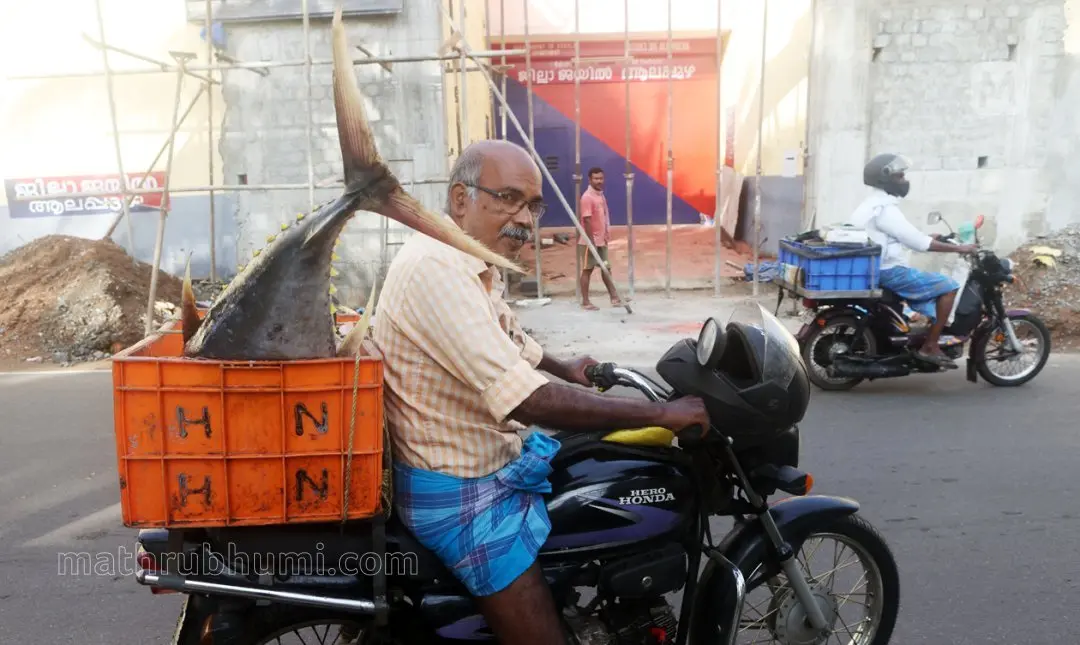 ആലപ്പുഴ ജില്ലാ ജയിലിൽ മീൻ നൽകുന്നതിനെത്തിയ കാട്ടൂർ ചെട്ടികാട് മത്സ്യത്തൊഴിലാളി വികസന ക്ഷേമസഹകരണ സംഘം പ്രസിഡന്റ് പി.ജെ. ഇമ്മാനുവൽ | ഫോട്ടോ: സി. ബിജു