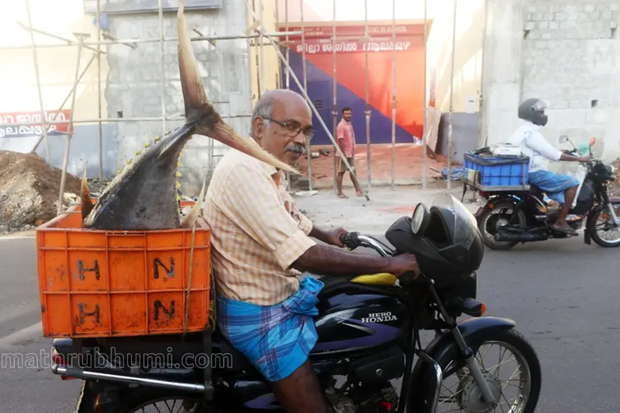 തോൽക്കില്ല ഇമ്മാനുവേൽ, പണം തിരിച്ചുനൽകും; നിക്ഷേപകർക്കായി മീൻ വില്ക്കുന്നു ഈ സഹ. സംഘം പ്രസിഡന്റ്