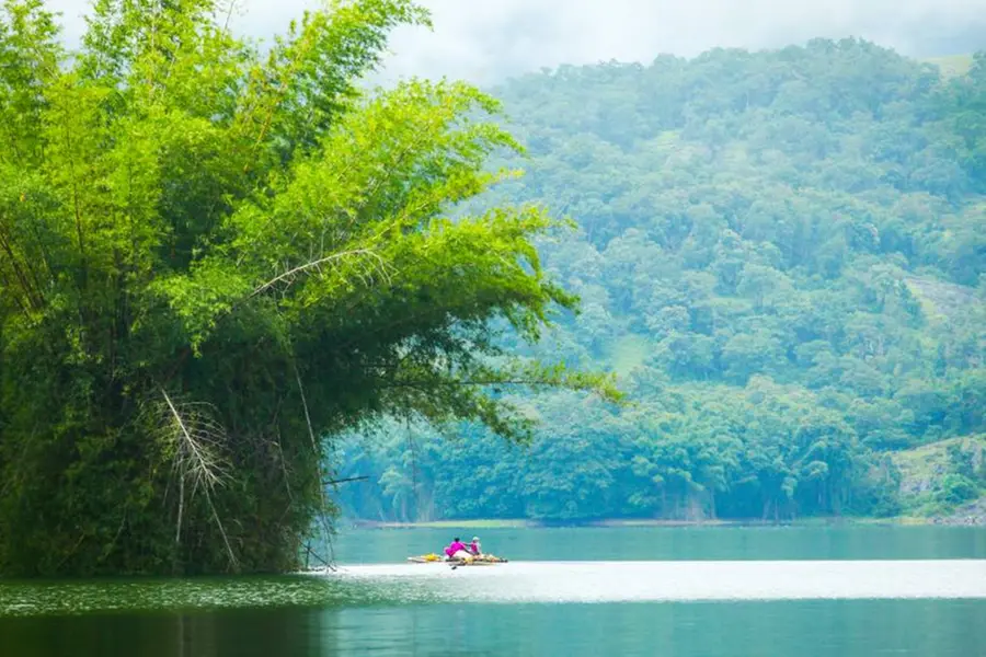 54 കിലോമീറ്റര് വനയാത്ര, കാട്ടില് താമസം; അവധിക്കാലം ആഘോഷമാക്കാന് പറമ്പിക്കുളത്ത് ജംഗിള് സഫാരി