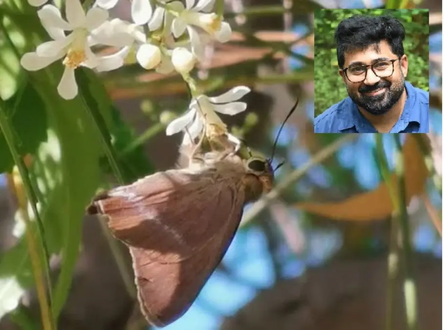 അബുദാബിയിൽ കണ്ടെത്തിയ കോമൺ ബാന്റ്ഡ് ഔള്, ഇൻസെെറ്റിൽകിരൺ കണ്ണൻ
