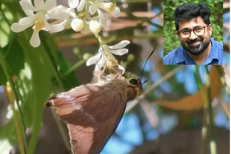 പാര്ക്കില് സൂക്ഷ്മജീവികളെ തിരഞ്ഞു, കണ്ടെത്തല് ഞെട്ടിച്ചു; ചിത്രശലഭത്തിന് യു.എ.ഇ. 'പാസ്പോര്ട്ട്'