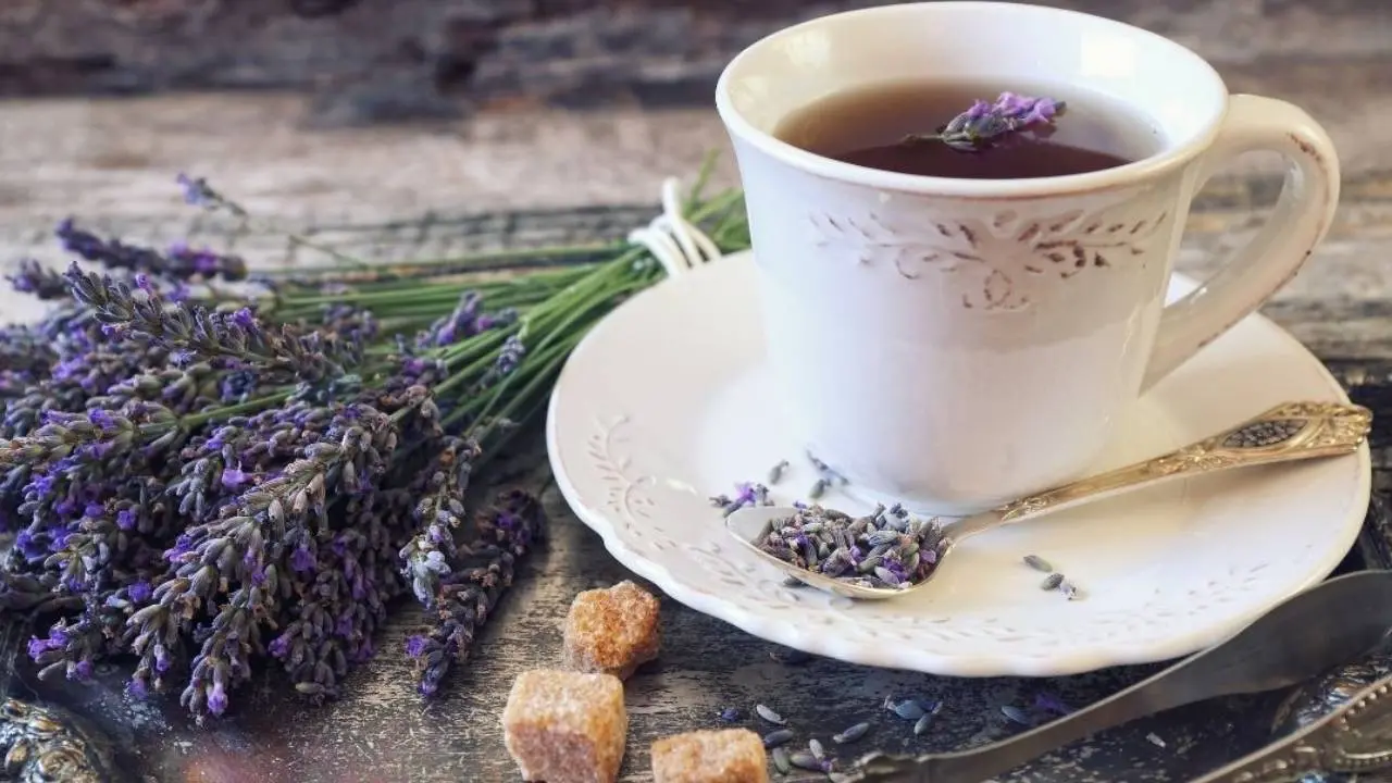 photo|Lavender Tea|canva