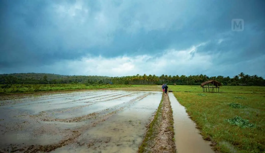 ചേകാടി | ഫോട്ടോ: പി. ജയേഷ്