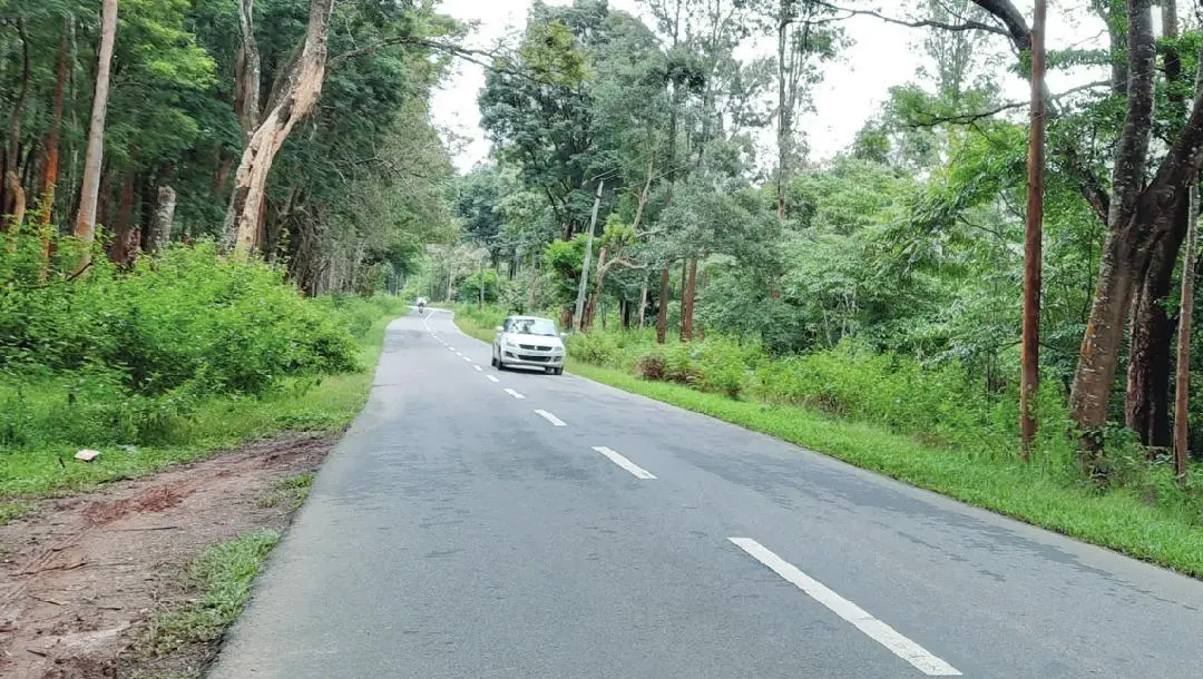 പ്രതീകാത്മക ചിത്രം | ഫോട്ടോ: മാതൃഭൂമി