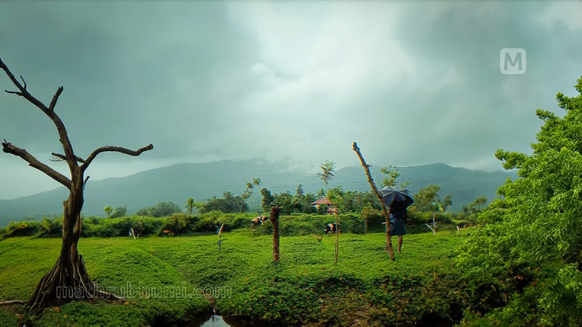 തിരുനെല്ലി