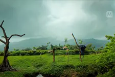 എത്രകണ്ടാലും മതിവരില്ല, പോസിറ്റിവിറ്റിയുടെ തിരുനെല്ലിയും കാനനകാന്തിയുടെ കാളിന്ദിയും