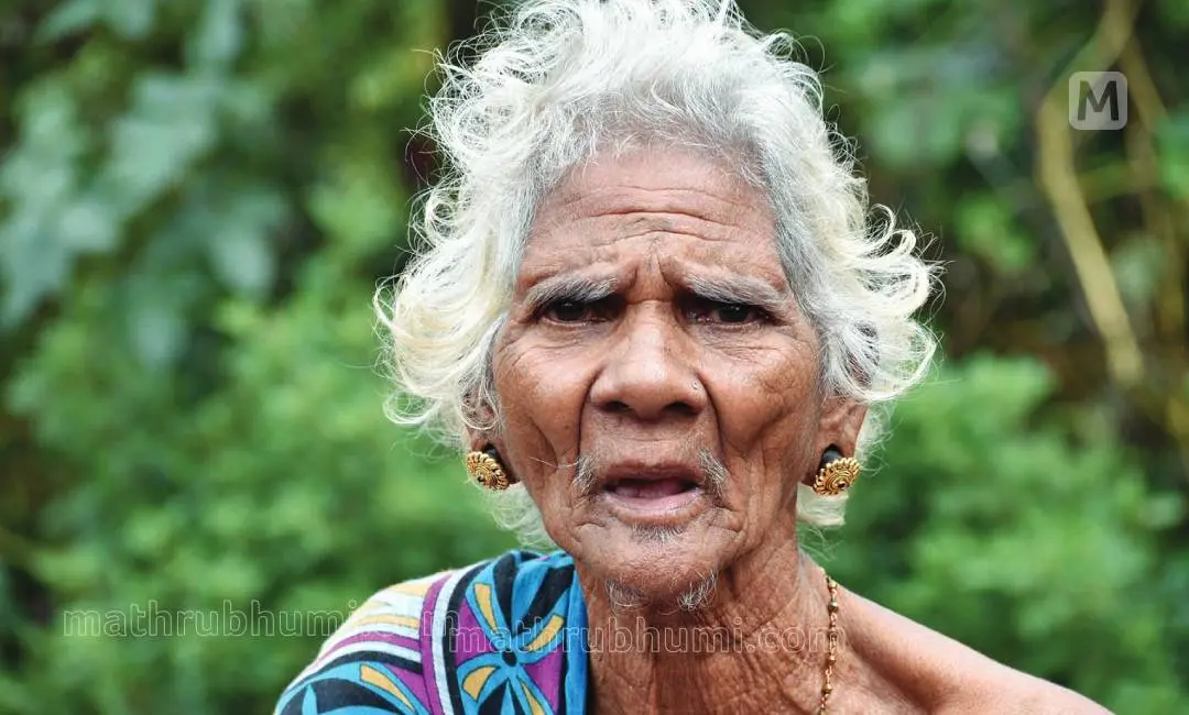 കുറുമാട്ടി/ ഫോട്ടോ: രമേഷ് വെള്ളമുണ്ട