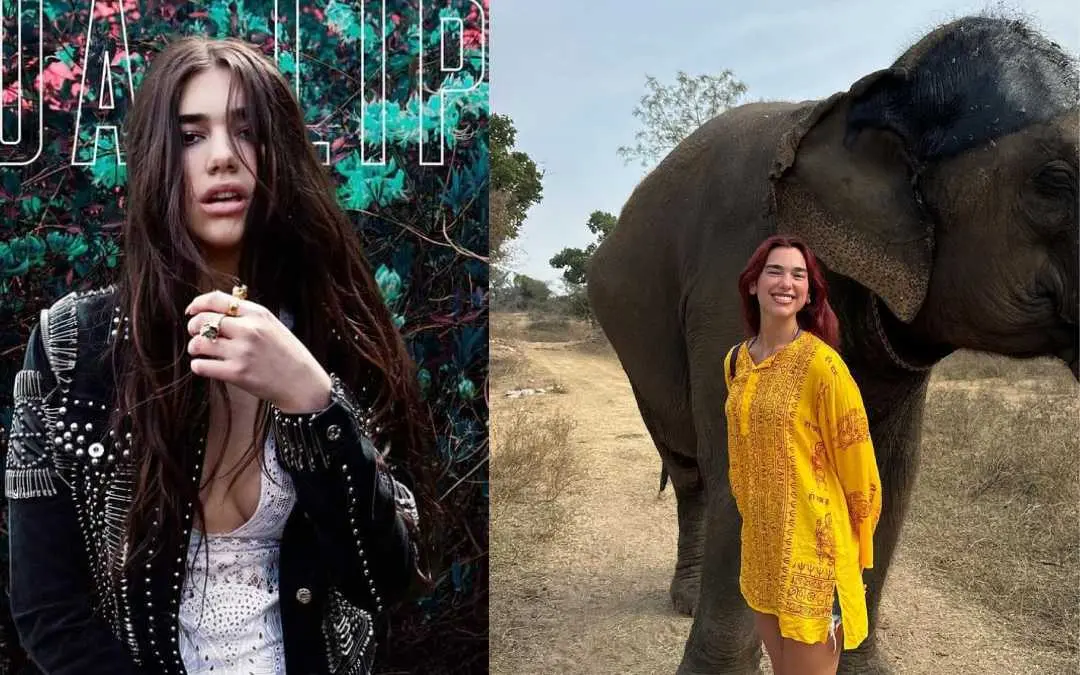 Photo: instagram.com/dualipa