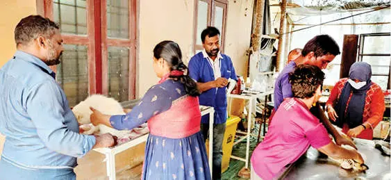 പുല്പള്ളി മൃഗാശുപത്രിയിൽ പാർവോ വൈറസ് രോഗം ബാധിച്ചെത്തിയവളർത്തുനായകൾക്ക് ചികിത്സനൽകുന്നു | Photo: Mathrubhumi