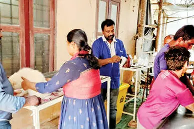 നായകളില് പാര്വോ വൈറസ് ബാധ പടരുന്നു