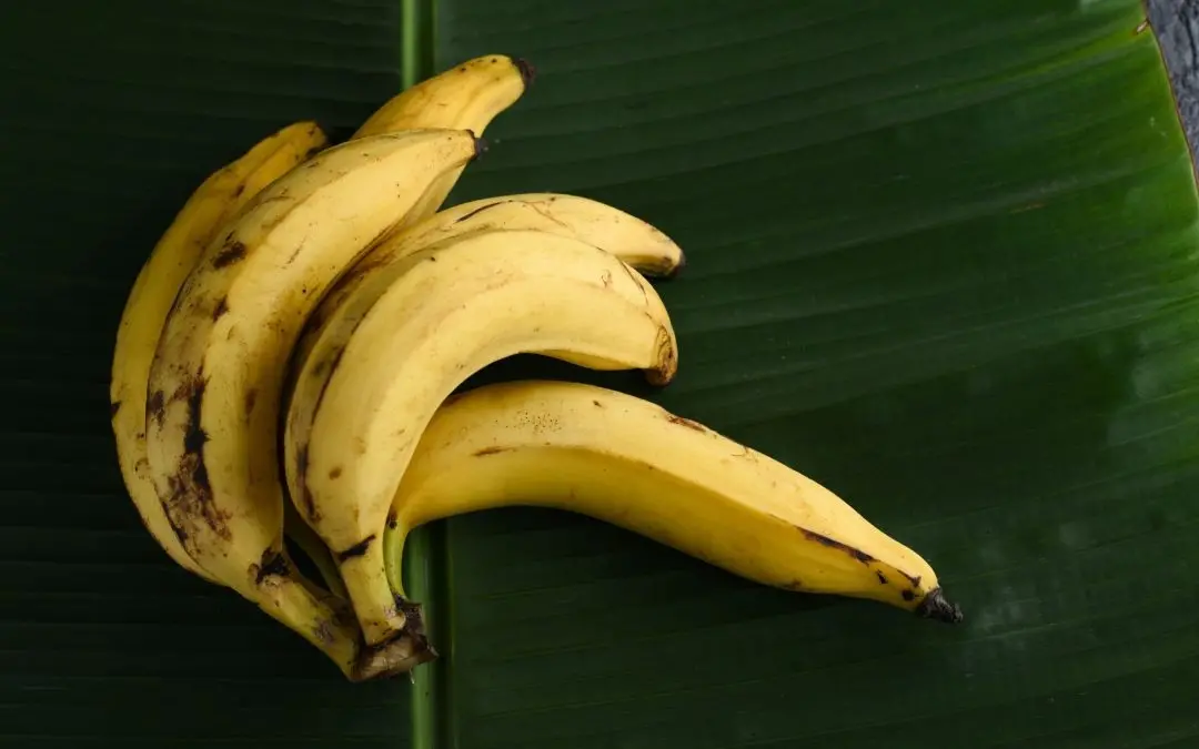 banana|photo:canva