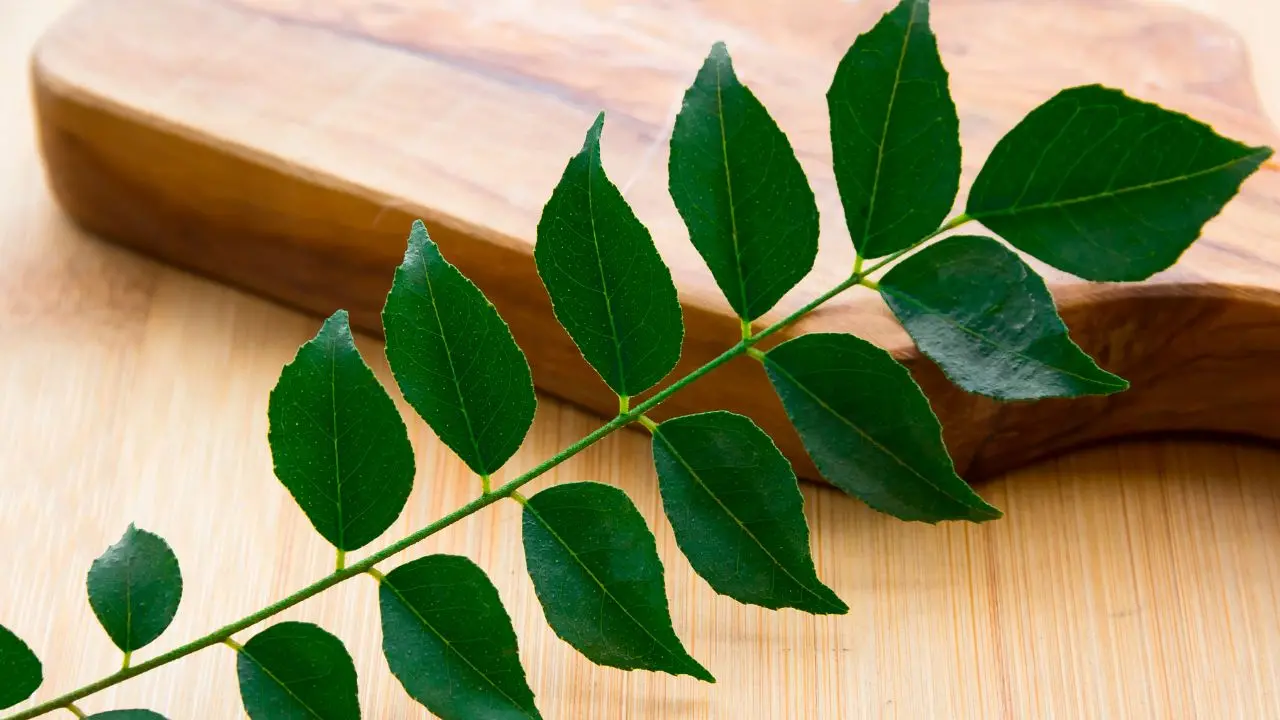 representative image|photo:canva
