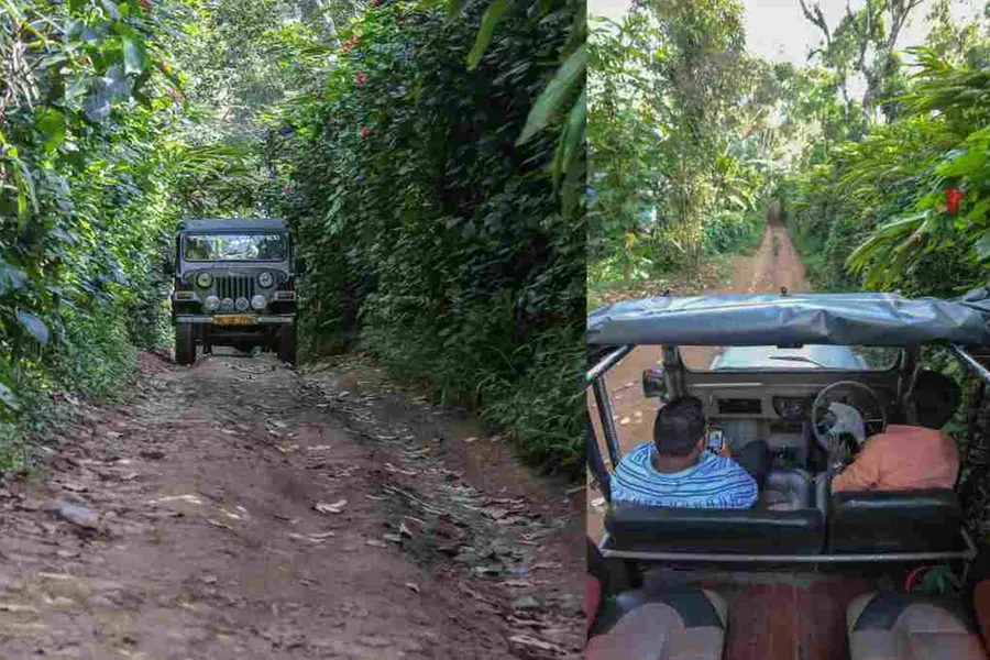 'തേക്കടി ടൂറിസത്തെ രക്ഷിച്ചില്ലെങ്കില് ഞങ്ങള് മുഴുപ്പട്ടിണിയിലേക്ക്';ജീപ്പ് ഡ്രൈവര്മാര് പറയുന്നു