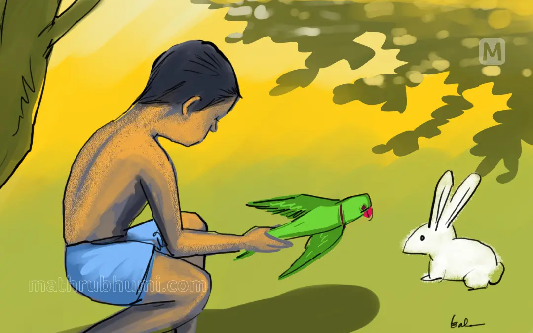 ചിത്രീകരണം: ബാലു