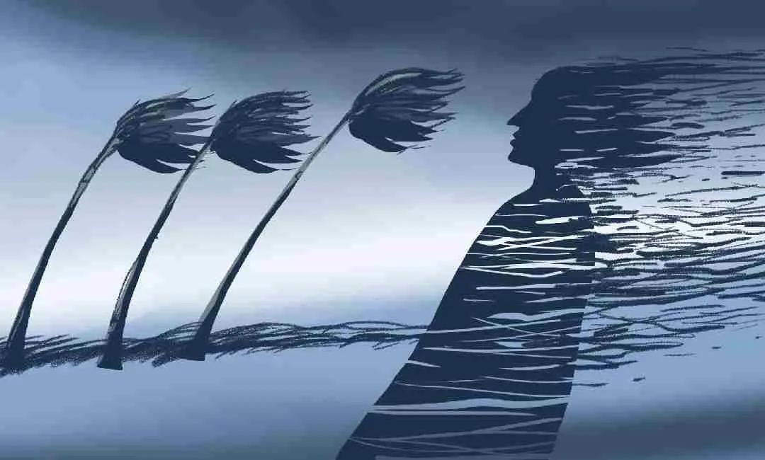 ചിത്രീകരണം: ബാലു
