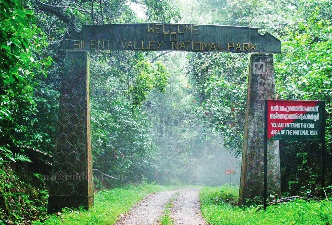 സൈലന്റ് വാലി ദേശീയോദ്യാനം (ഫയല് ചിത്രം)