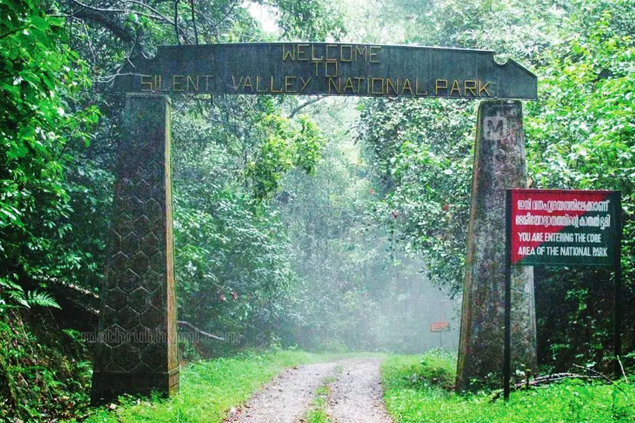 കത്തുന്ന വേനലിലും കുളിര്മ നല്കി സൈലന്റ് വാലി; സഫാരിക്കായി എത്തുന്നത് ആയിരങ്ങള്