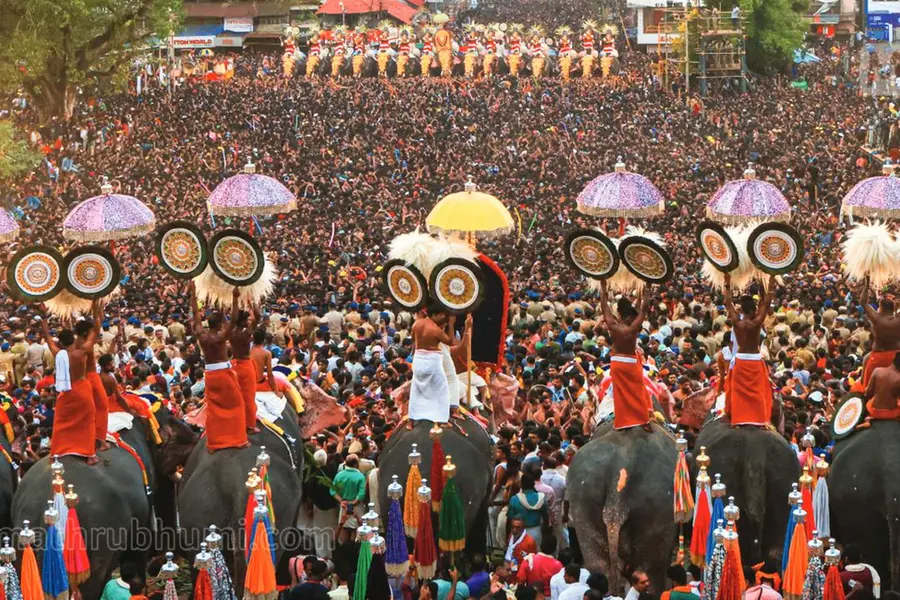 '3 മീറ്റർ അകലം പാലിക്കണമെന്ന് ആനകളോട് എങ്ങനെ നിര്ദേശിക്കാനാകും?'ഹൈക്കോടതിയെ വിമർശിച്ച് സുപ്രീംകോടതി
