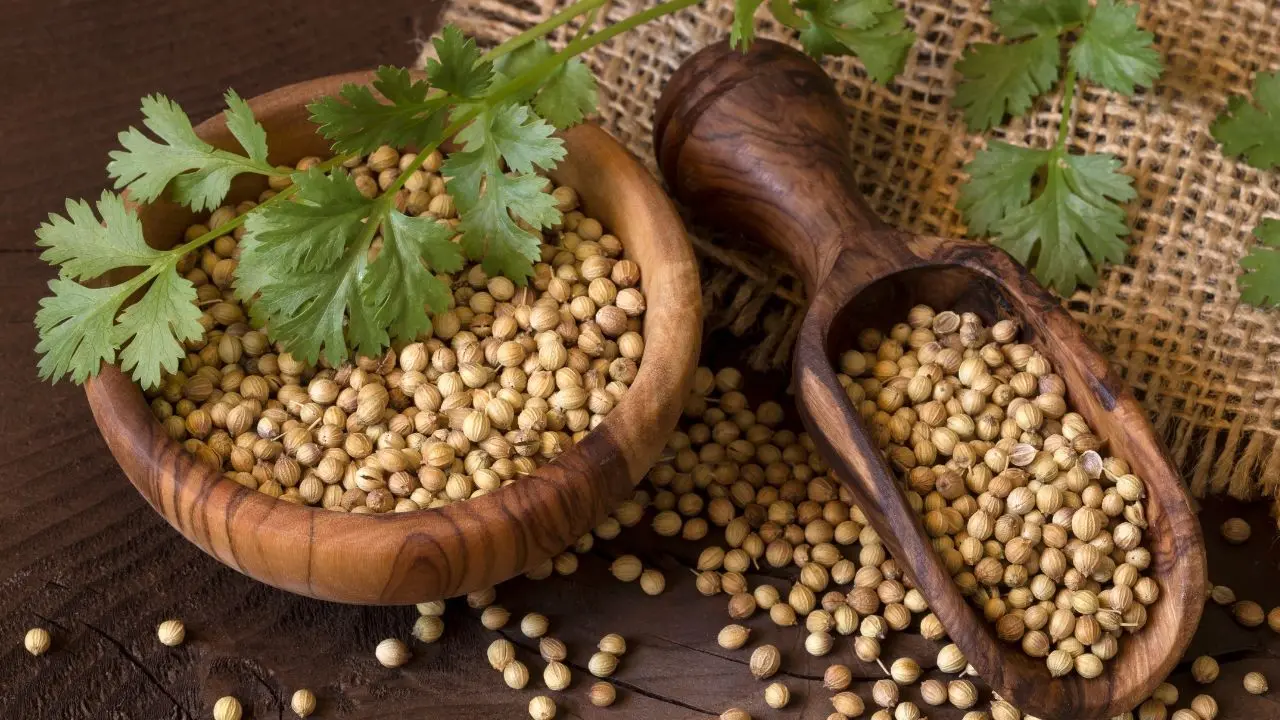 representative image|photo:canva