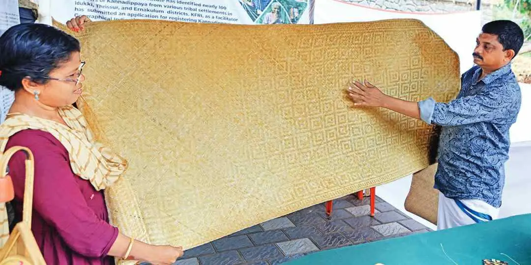 കണ്ണാടിപ്പായ | Photo: Special Arrangement