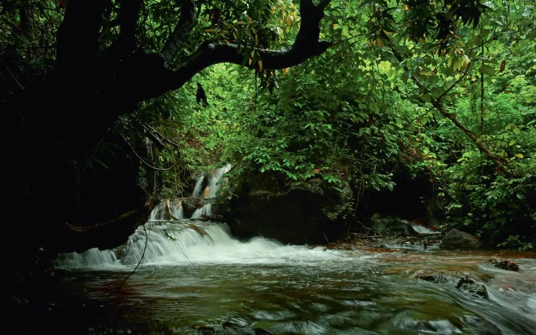 പ്രതീകാത്മക ചിത്രം