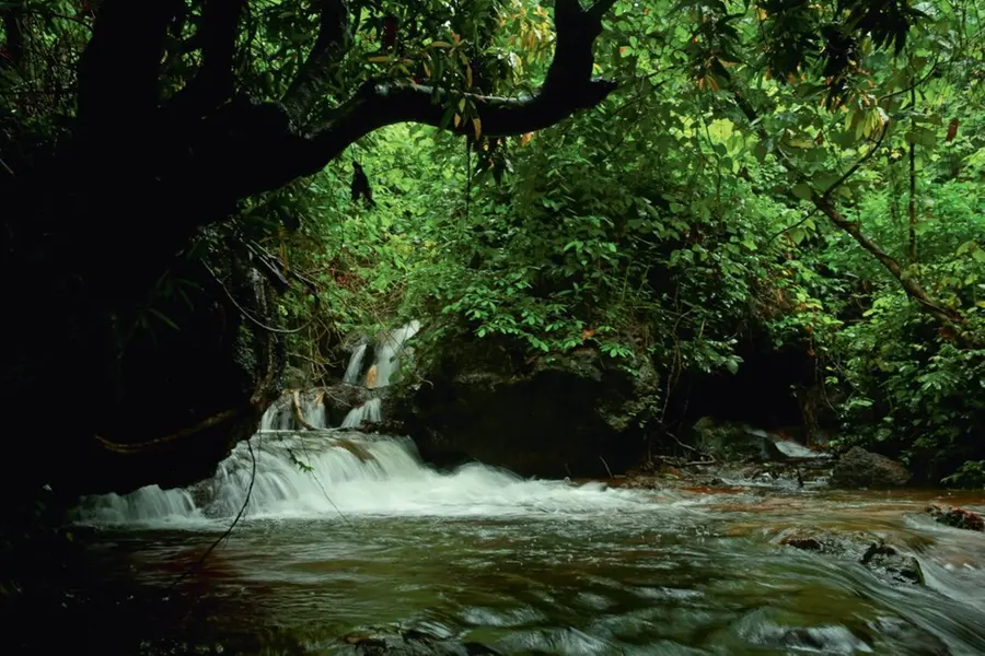 പുഴമാപ്പിങ്ങും 35,000 കി.മീറ്റര്‍ റോഡ് മാപ്പിങ്ങും നടത്തി,പാതിവഴിയിൽ മാപ്പത്തണ്‍ കേരളം