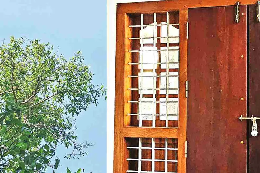 പ്രണയം പൂത്തുലഞ്ഞ നീര്മാതളത്തിന് നഷ്ടസുഗന്ധം; കമലാസുരയ്യ സ്മാരകത്തിലെ വരാന്തയ്ക്കു പൂട്ടുവീണു