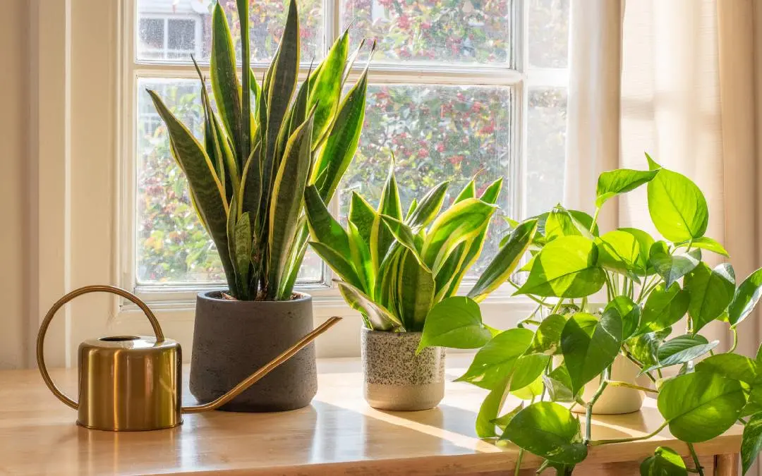 Representative Image | Photo: Canva.com