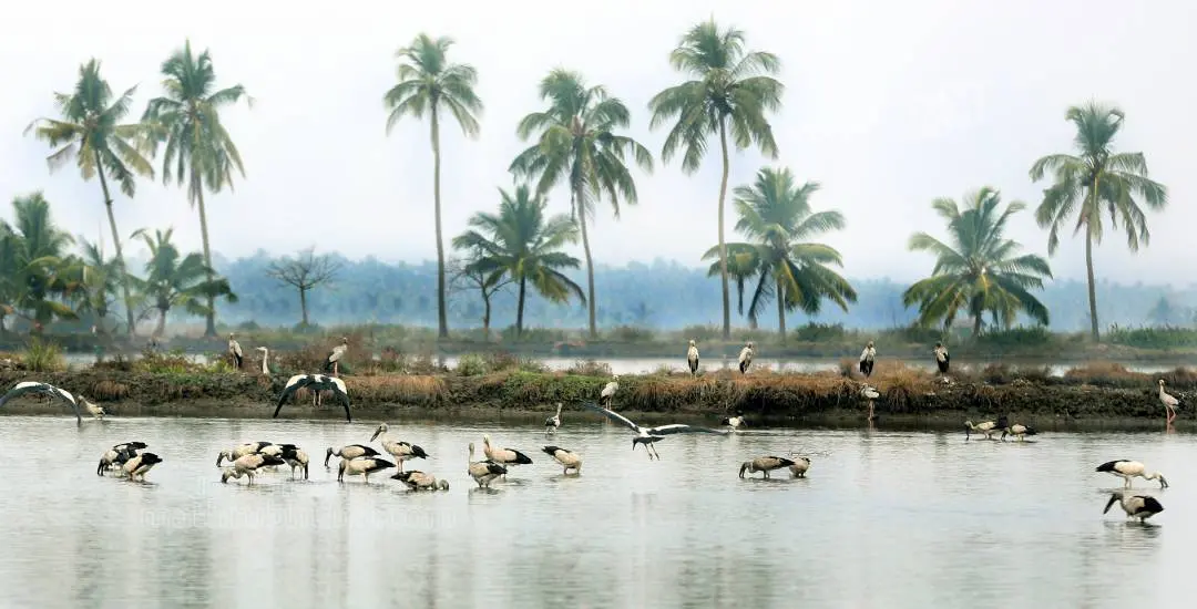 ഫോട്ടോ: സിദ്ദീക്കുല് അക്ബര്