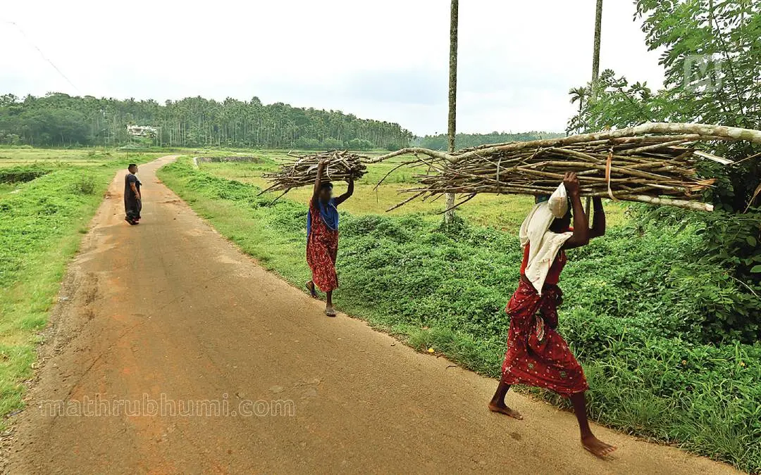 പ്രതീകാത്മകചിത്രം | ഫോട്ടോ: മാതൃഭൂമി