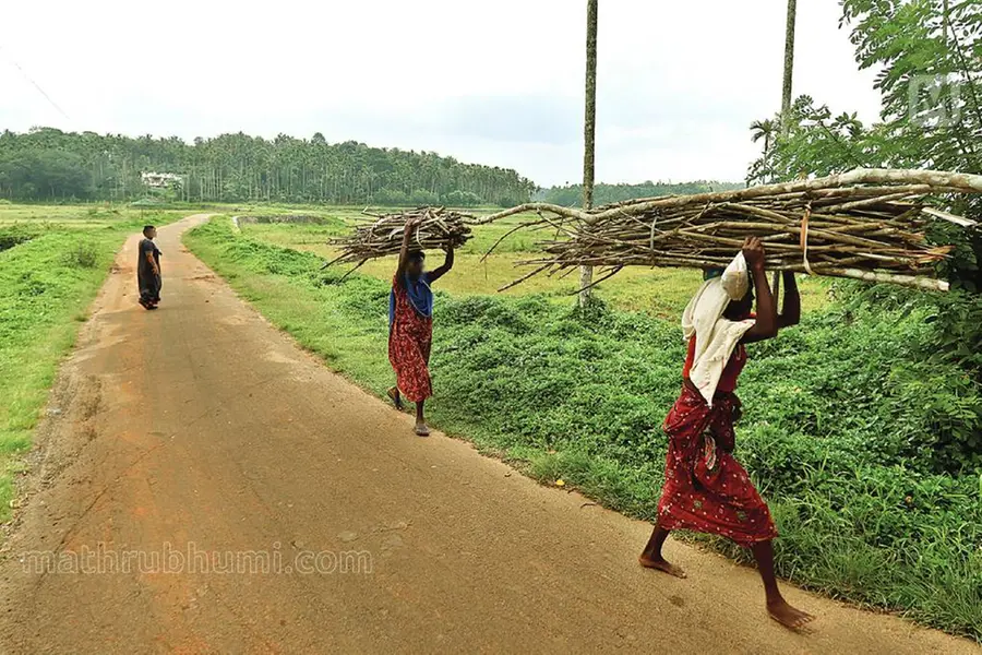 കൃഷിയിടങ്ങളിലെ ഒരു ഗ്രാം മണ്ണില് 42 ലക്ഷം സൂക്ഷ്മജീവികൾ, എന്നാൽ ഇടവഴികളിലുണ്ട് കോടാനുകോടി