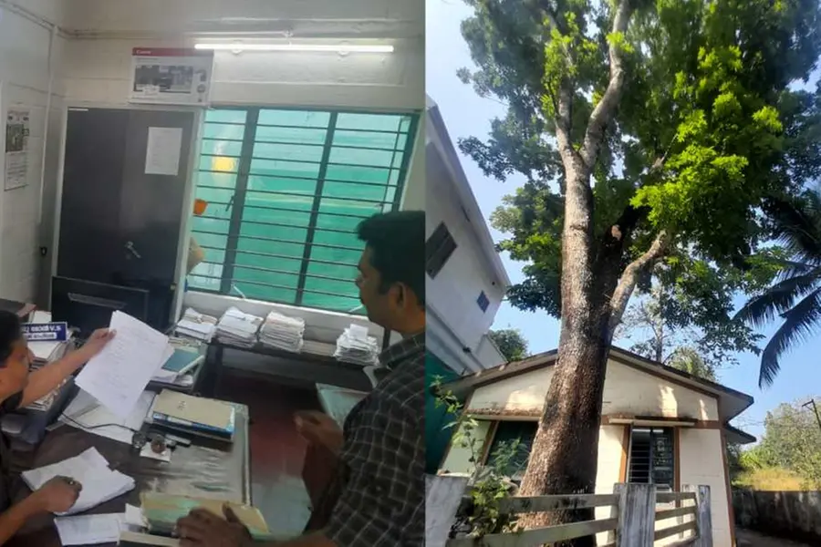 മരം വെട്ടിമാറ്റിയില്ല; സ്മാർട്ടാകാതെ ഇടക്കുന്നം വില്ലേജ് ഓഫീസ്