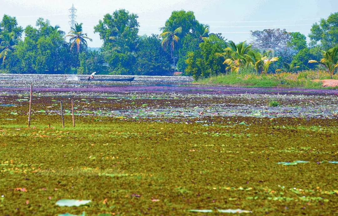 ഫോട്ടോ: സിദ്ദീക്കുല് അക്ബര്
