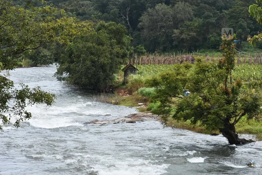 ബ്രഹ്മഗിരി മലനിരകളില് മഴപെയ്യുകയാണ്; സ്വര്ഗം പോലെ തിരുനെല്ലി!