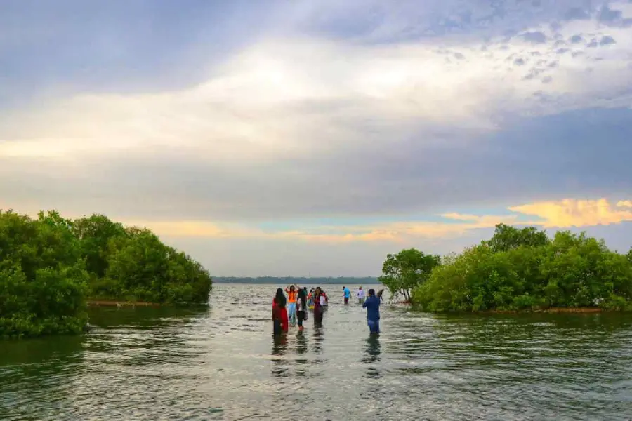 അന്ന് വെറും മണൽപ്പുറം, ഇന്ന് സഞ്ചാരികളുടെ ഒഴുക്ക്; വേറെ വൈബാണ് സാമ്പ്രാണിക്കോടിയിൽ | Podcast