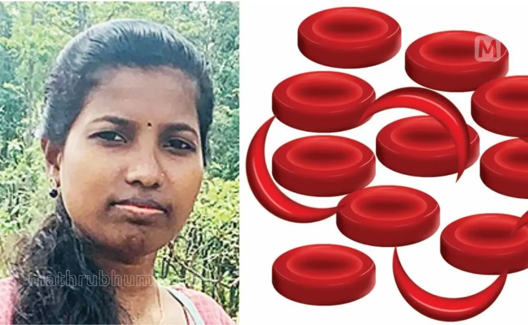 1, വള്ളി | 2,പ്രതീകാത്മക ചിത്രം: മാതൃഭൂമി