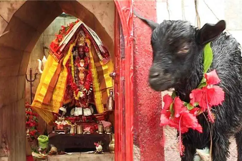 ത്രിപുരസുന്ദരിയുടെ കുരുതിത്തറ, പഴയ ഇന്ത്യന് ക്യൂബയിലെ തിരഞ്ഞെടുപ്പ് കാലം