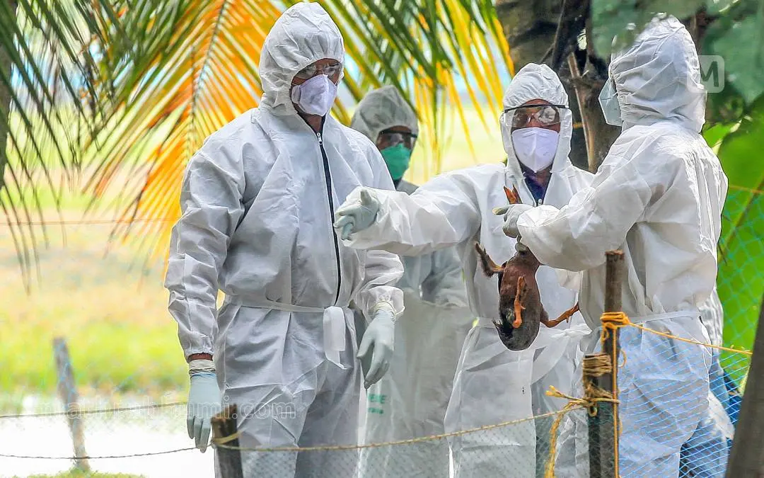 Representative Image| Photo: Mathrubhumi